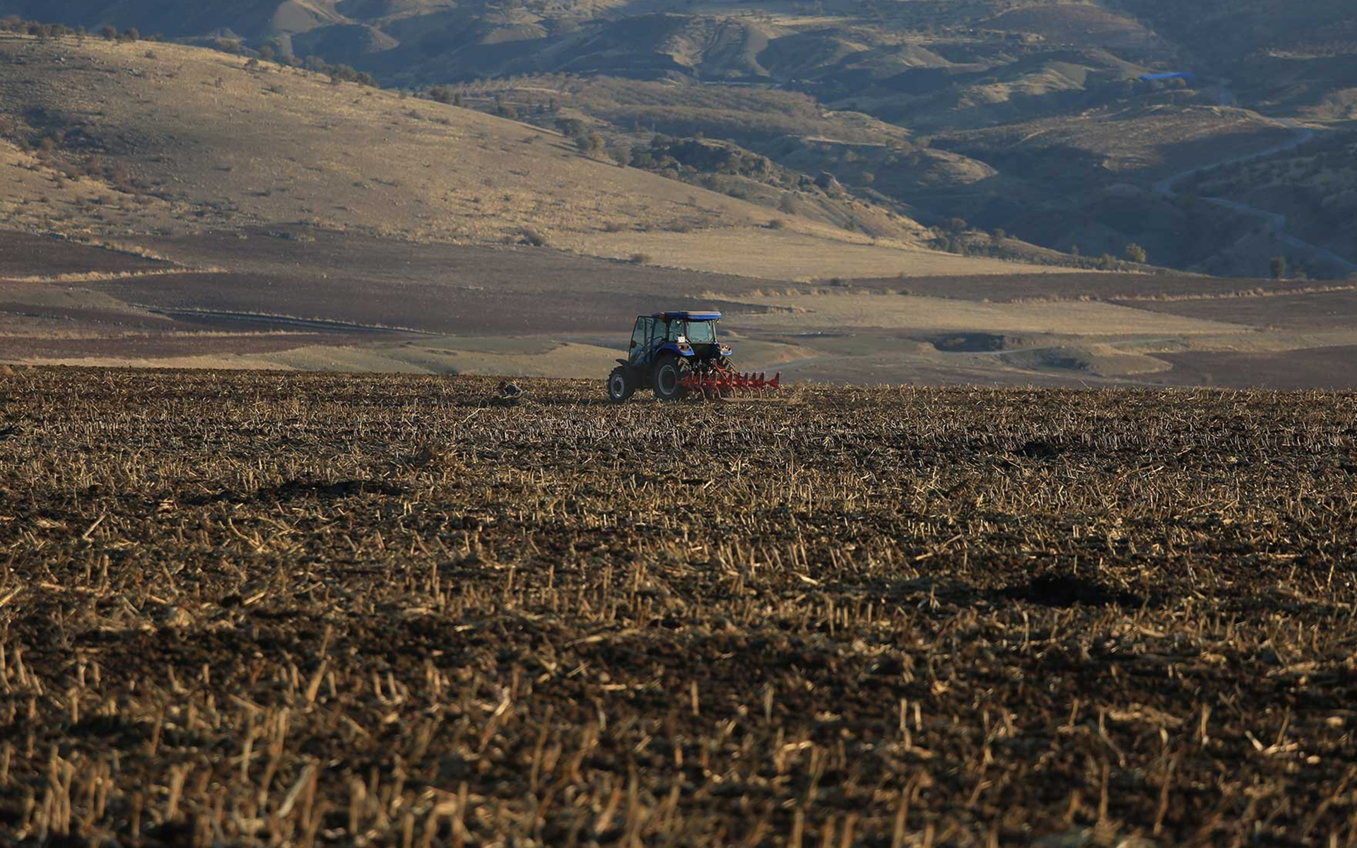 Gıda fiyatları daha da zamlanacak