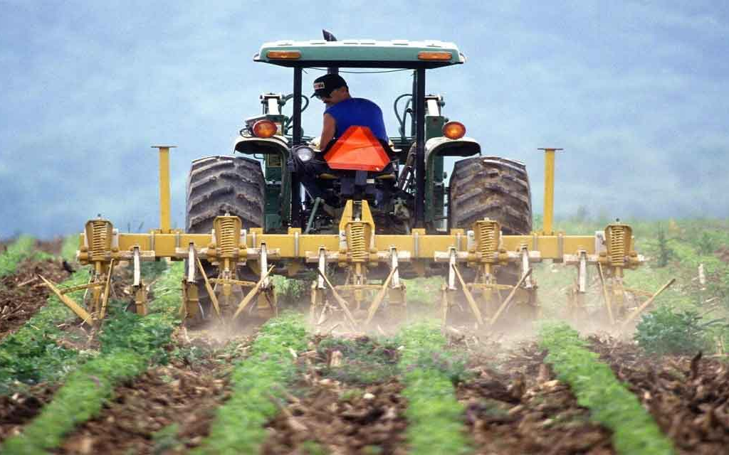 Türkiye’deki çiftçi sayısı 500 binin altına geriledi