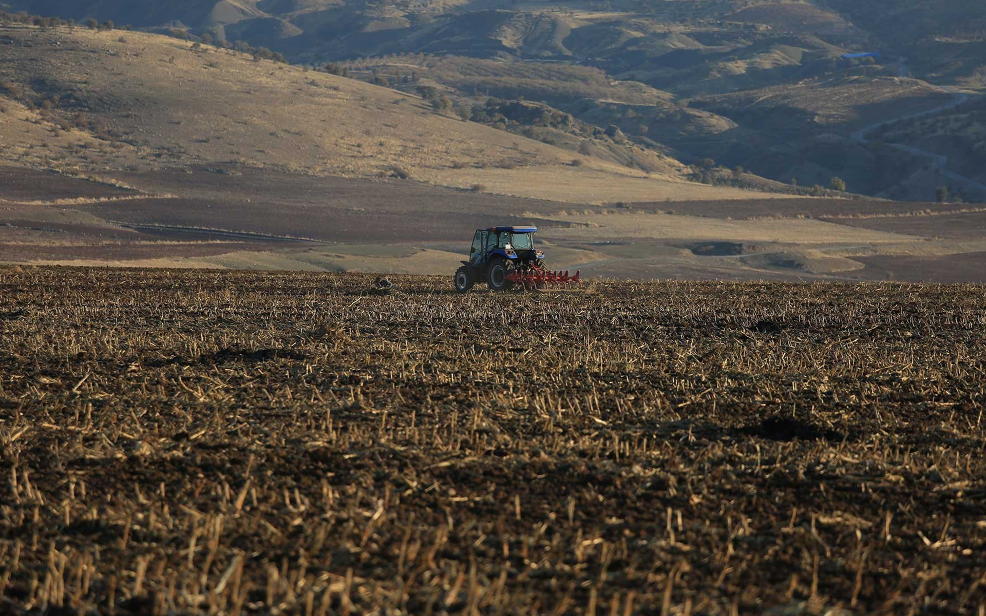 “Son 20 yılda 2 milyon çiftçi mesleğini bıraktı”