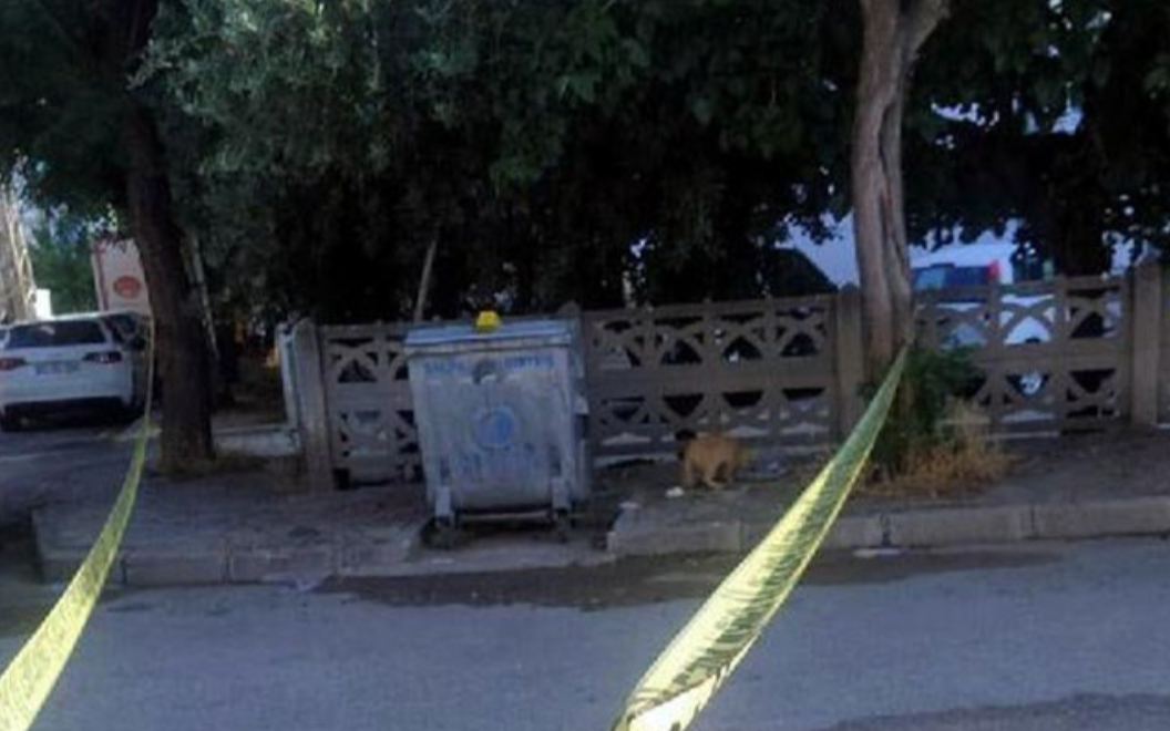 Manisa'da çöp konteynerinde cansız bebek bulundu