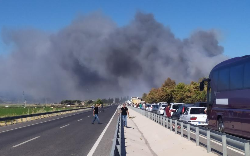 Bergama'daki orman yangını kontrol altına alındı