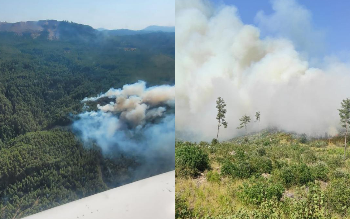 Burdur’da orman yangını