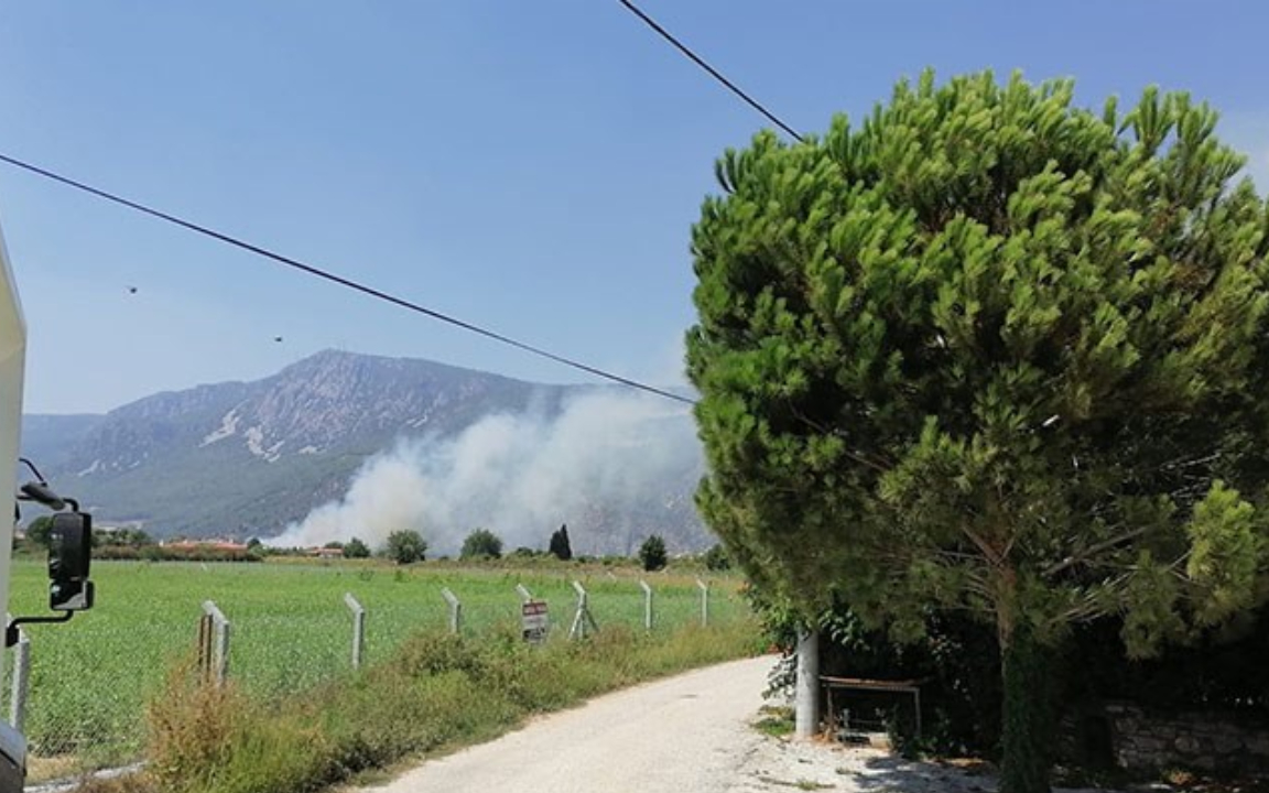 Muğla’da tarım arazisinde yangın çıktı