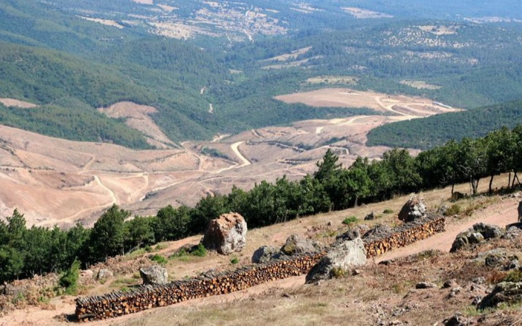 ÇED yönetmeliğinde değişiklikle çevre talanına yeni kılıf