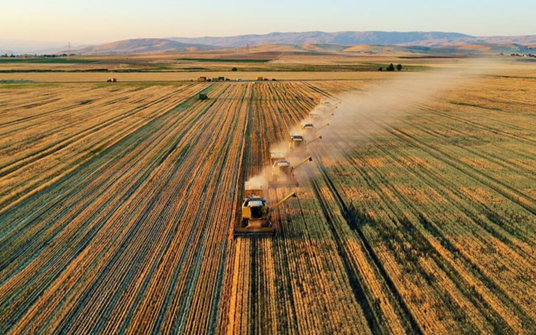 Tarım üretici enflasyonu yıllık yüzde 142 arttı