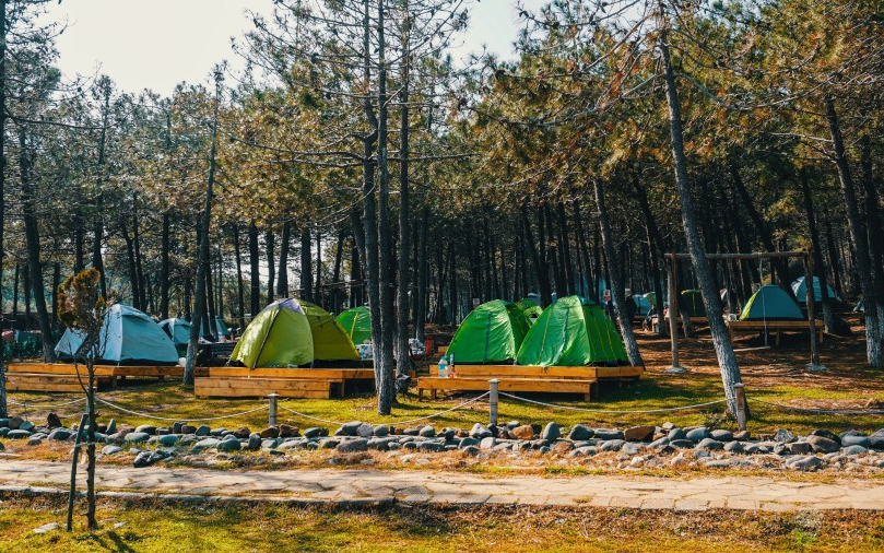 Hazine’ye ait ormanlara ve milli parklara ‘lüks çadır’ tesisi yapılmasının önü açıldı