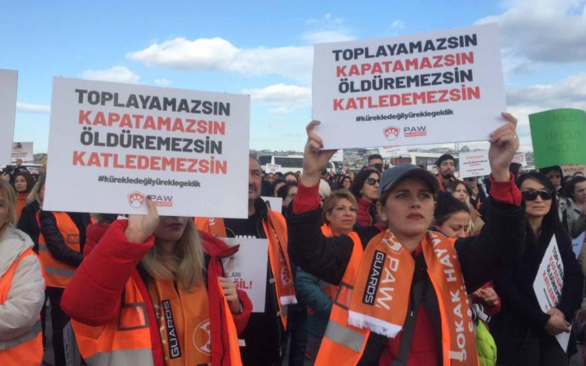 Hayvan hakları savunucularından miting: "Barınaklar ölüm kampı"