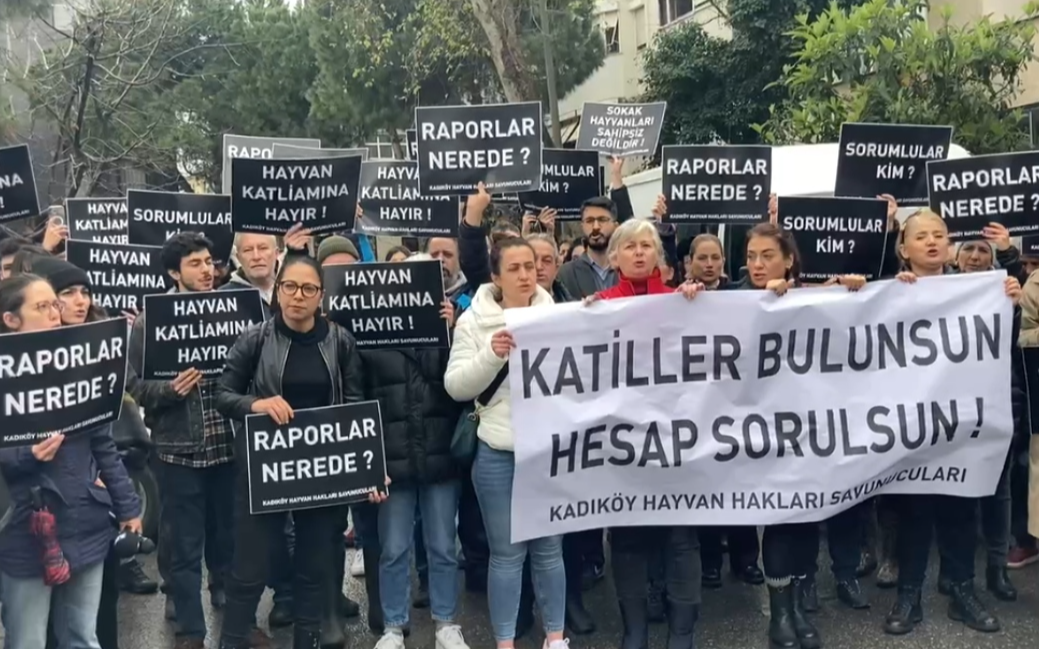 Kadıköy'deki hayvan katliamına karşı basın açıklaması