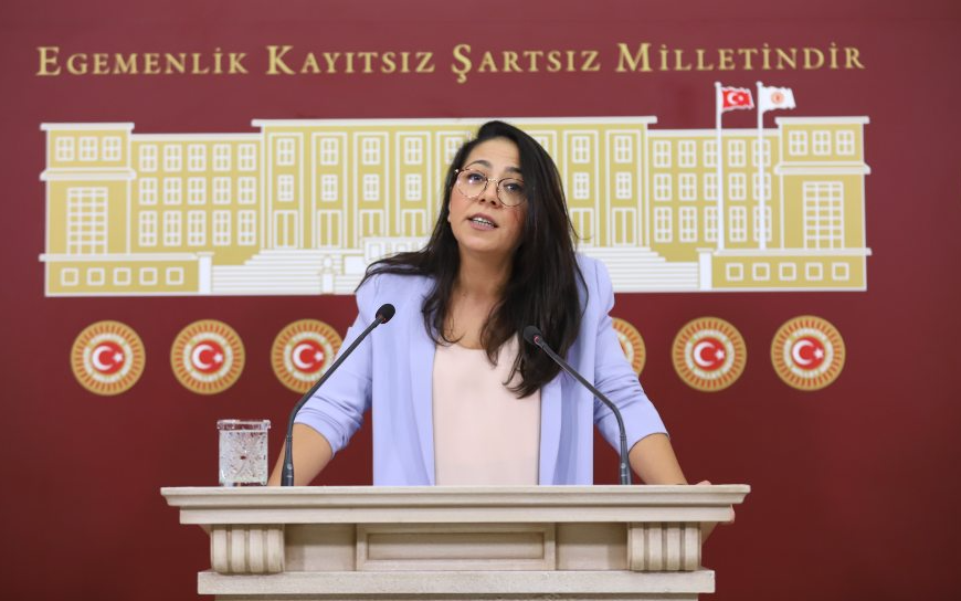 Sera Kadıgil’den Erdoğan’a: Sen üzülemezsin, istifa edebilirsin!