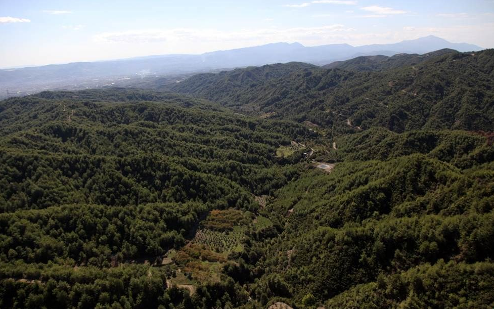 Hatay'da ormanlara girişler yasaklandı