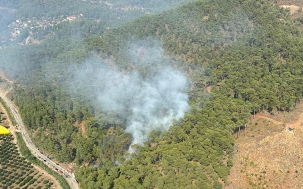 Muğla’da orman yangını