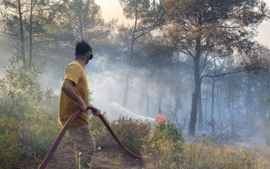 Hatay'da orman yangını: 2 kişi gözaltında