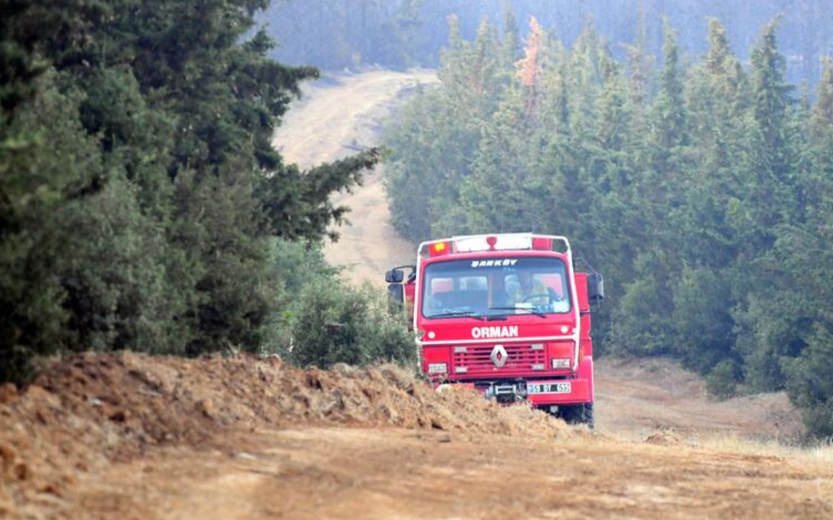 Tekirdağ'daki orman yangını kontrol altına alındı