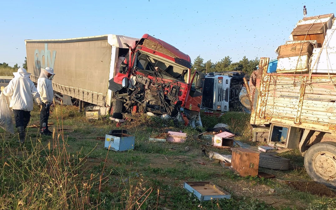 Edirne'de trafik kazası: 4 ölü, bir yaralı