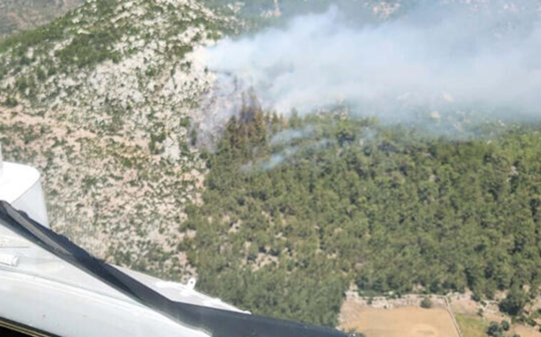 Muğla'da orman yangını çıktı