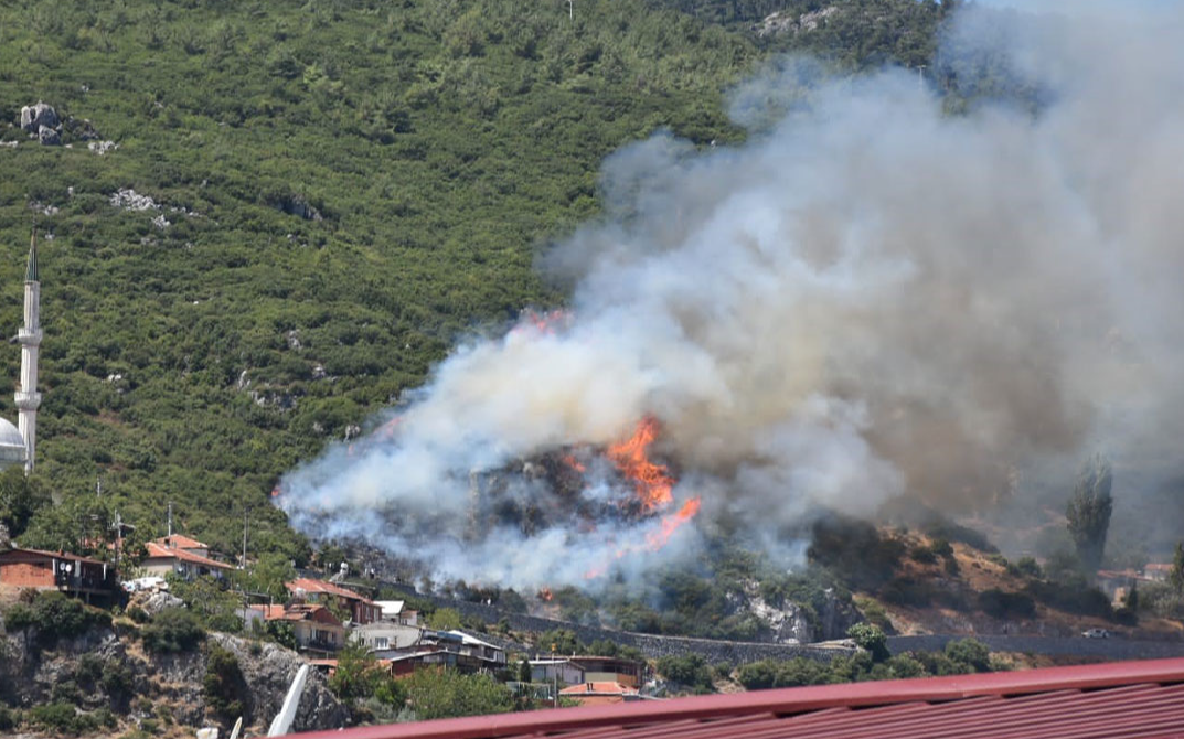 İzmir'de orman yangını çıktı