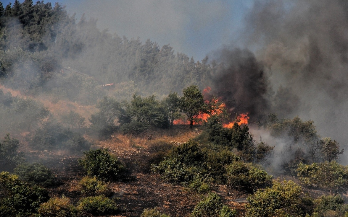 Maraş'taki yangında yaklaşık 20 hektarlık alan zarar gördü.