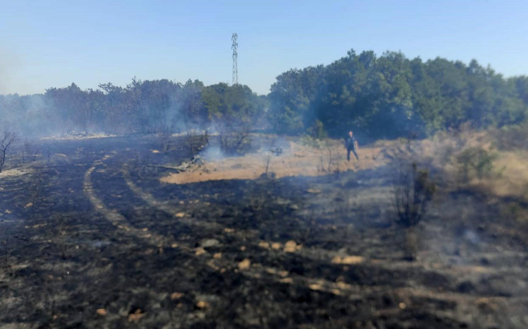 Çanakkale'deki orman yangınında 2 hektarlık alan zarar gördü