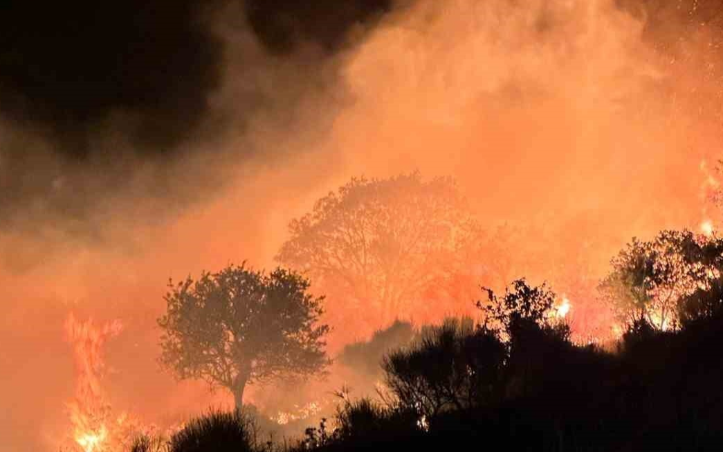 Marmara Adası'ndaki yangın kontrol altına alındı