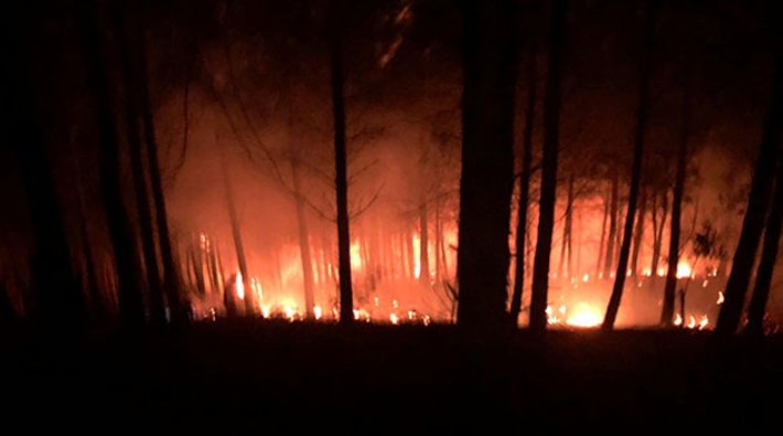 Adana'nın Kozan ilçesindeki orman yangını kontrol altına alındı